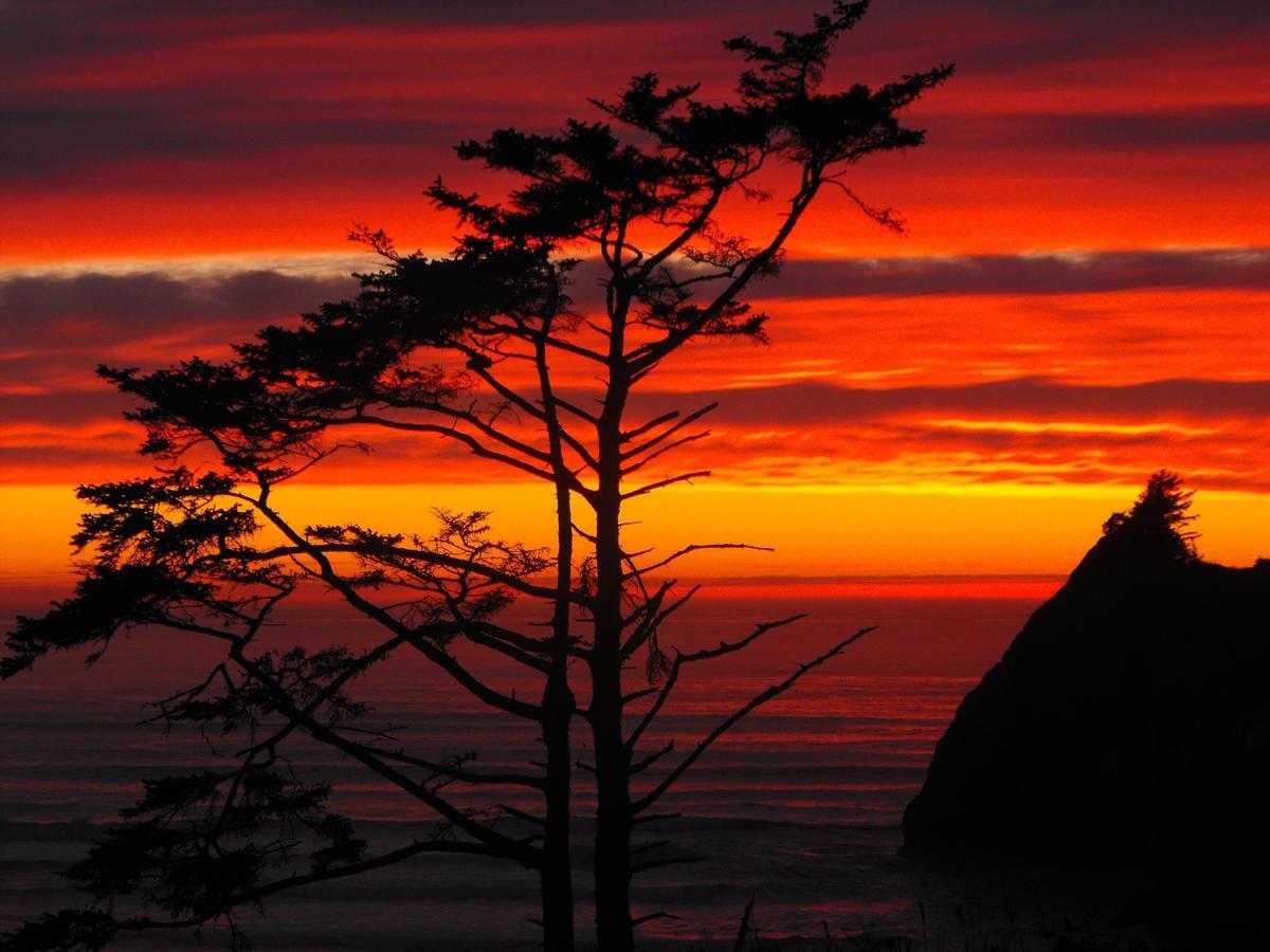 Agate Beach Motel Newport Eksteriør bilde